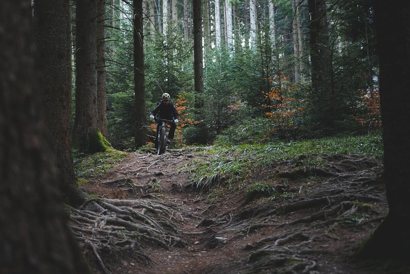 Cycling Adventures